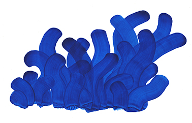anemone painting design by Francois Dumas