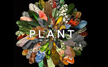 Plant: Exploring the botanical world