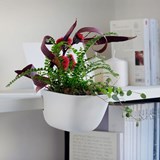 HOI _ S fine bone china flowerpot - White - Design : Supercraft Studio 3