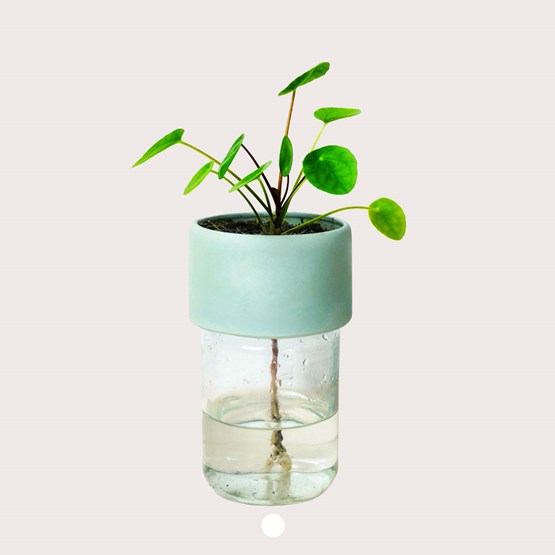 Pot PLANT JAR - Bleu - Design : Studio Lorier