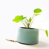 Pot PLANT JAR - Bleu - Design : Studio Lorier 2