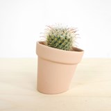 DISTORT Flowerpot - pink - Pink - Design : Studio Lorier 4