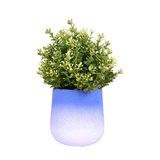 FLOWERTOP flowerpot - blue 5