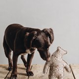WOOL DOG TOY. BONE - grey - Grey - Design : BAND&ROLL 6