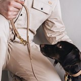 Laisse pour chien en cuir LASSO - beige - Beige - Design : BAND&ROLL 4