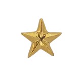Golden Star pin - Gold - Design : Stook Jewelry 2