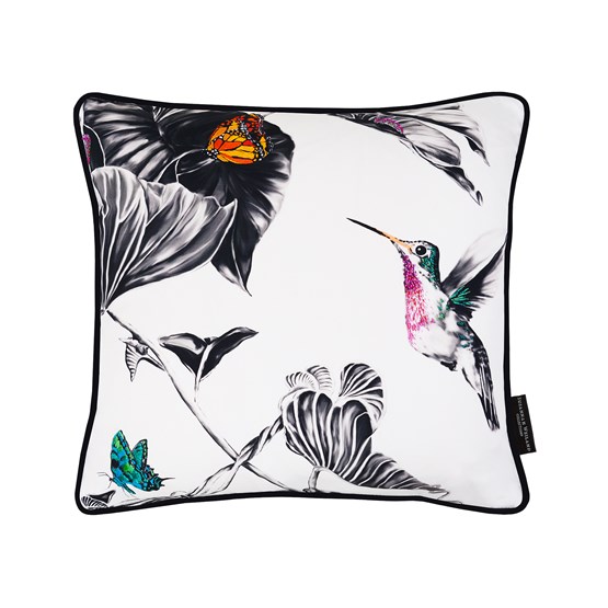 Cushion Harvey The Hummingbird - Design : Susannah Weiland Collections