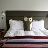 Owl bird cushion - grey - Multicolor - Design : Design By Nico 3