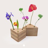Duo of vases TRAMEZZINI - natural beech wood - Light Wood - Design : Beatrix Li-Chin Loos 8