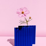 MIIO Vase - Pink 6