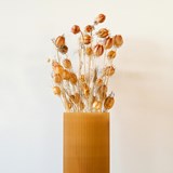 Plume 195 vase - wheat - Brass - Design : Poule 4