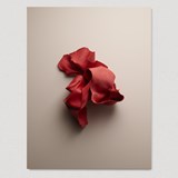 Poster SKIN02 - Rouge - Rouge - Design : STUDiOFOAM 3