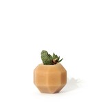 Rombi aromatic vase - brown - Brown - Design : Hugi.r 4