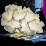 Coralys Light Sculpture - Medium Model  7