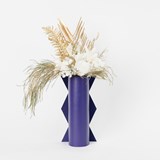 Caméléon Peacock - violet - Leather - Design : Rodanthe 4