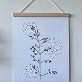 Poster Grasses - Paper - Light Wood - Design : Les petites hirondelles 2