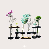 Vase SIXFLEURS - Verre et bois  - Noir - Design : Dikroma création 7