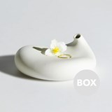 Soliflore EMOTION - Designerbox - Blanc - Design : Aldo Bakker 6