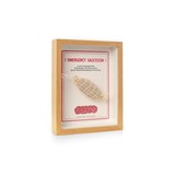 Cadre "Emergency saucisson" - version anglaise - Bois clair - Design : Maison Cisson 4