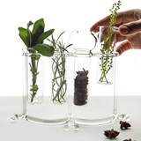 Flower pot & spice rack - Sio2 - Glass tableware 4