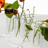 Flower pot & spice rack - Sio2 - Glass tableware 3