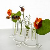 Flower pot & spice rack - Sio2 - Glass tableware 5