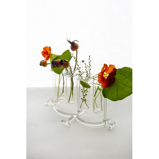 Flower pot & spice rack - Sio2 - Glass tableware - Design : StudioNotte