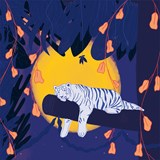Illustration - TIGER SLEEP 3