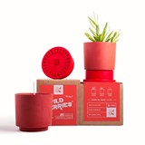 WILD BERRIES POLY candle - eco-resin & ethical vegetable wax - Red - Design : Hank Brussels 2