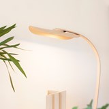 Lampe de bureau à pince - hêtre cintré - Bois clair - Design : Maxime Ly 4