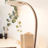 Lampe de bureau à pince - hêtre cintré - Bois clair - Design : Maxime Ly 7