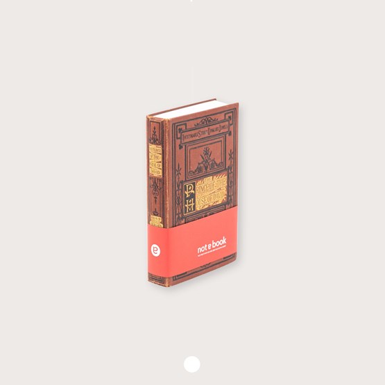 Carnet - The prince of the house of David (1875) - Rouge - Design : Not a book