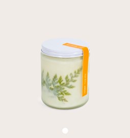 GREENHOUSE Candle - Nordic amber