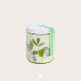 Bougie GREENHOUSE - Bouleau blanc et romarin - Verre - Design : To from 4