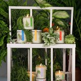 Bougie GREENHOUSE - Bouleau blanc et romarin - Verre - Design : To from 3