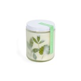 Bougie GREENHOUSE - Bouleau blanc et romarin - Verre - Design : To from 2