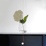 Plant hanger VISIBLE INVISIBLE - Black - Design : Annike Laigo 2
