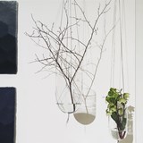 Plant hanger VISIBLE INVISIBLE - Black - Design : Annike Laigo 5