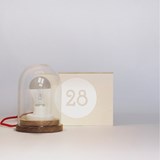 Lampe cloche PRECIEUSE - Designerbox - Bois clair - Design : Gesa Hansen 2