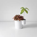 Vase DOUBLE - Designerbox - Blanc - Design : Ferréol Babin 3